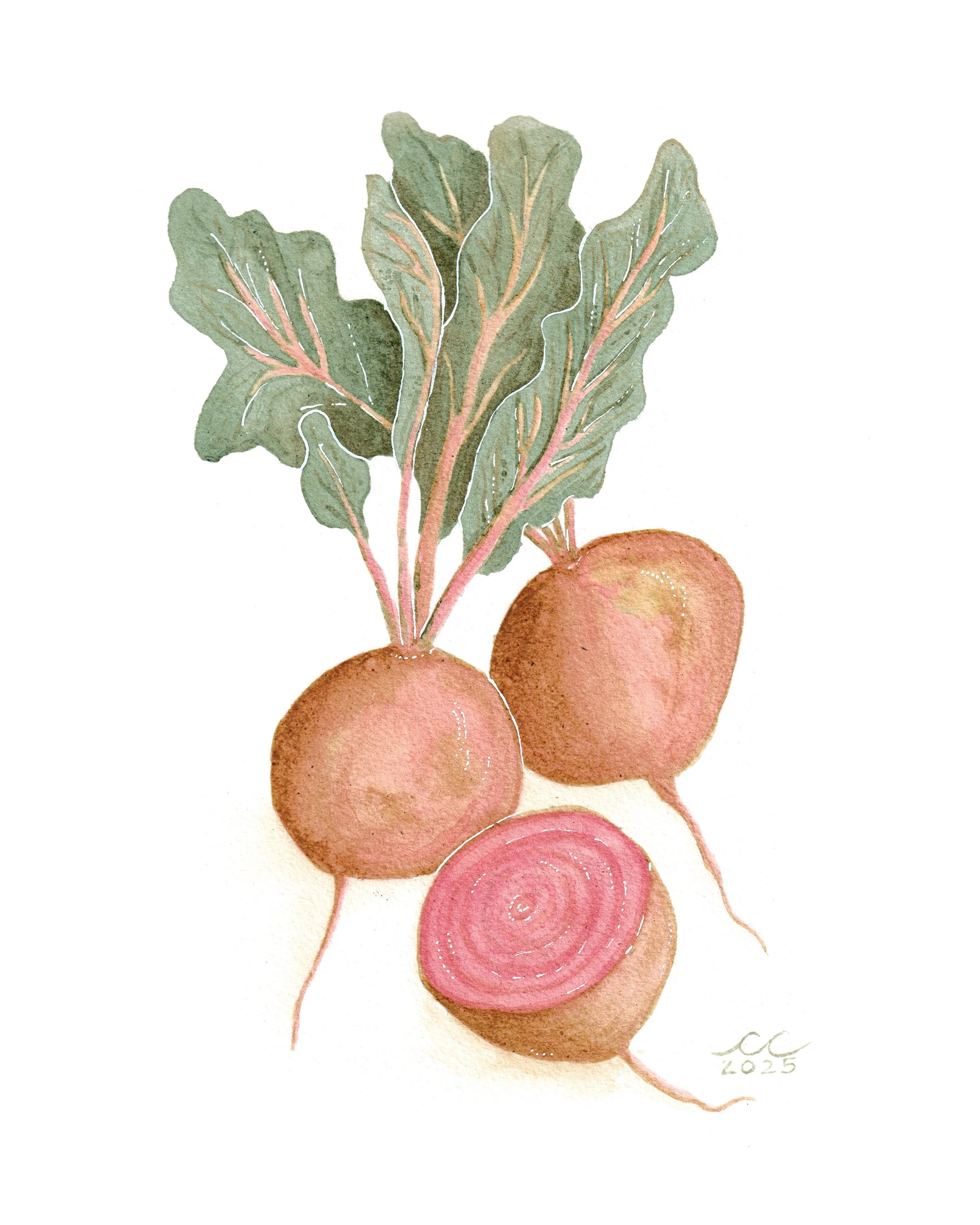 Beets_8x10.jpg