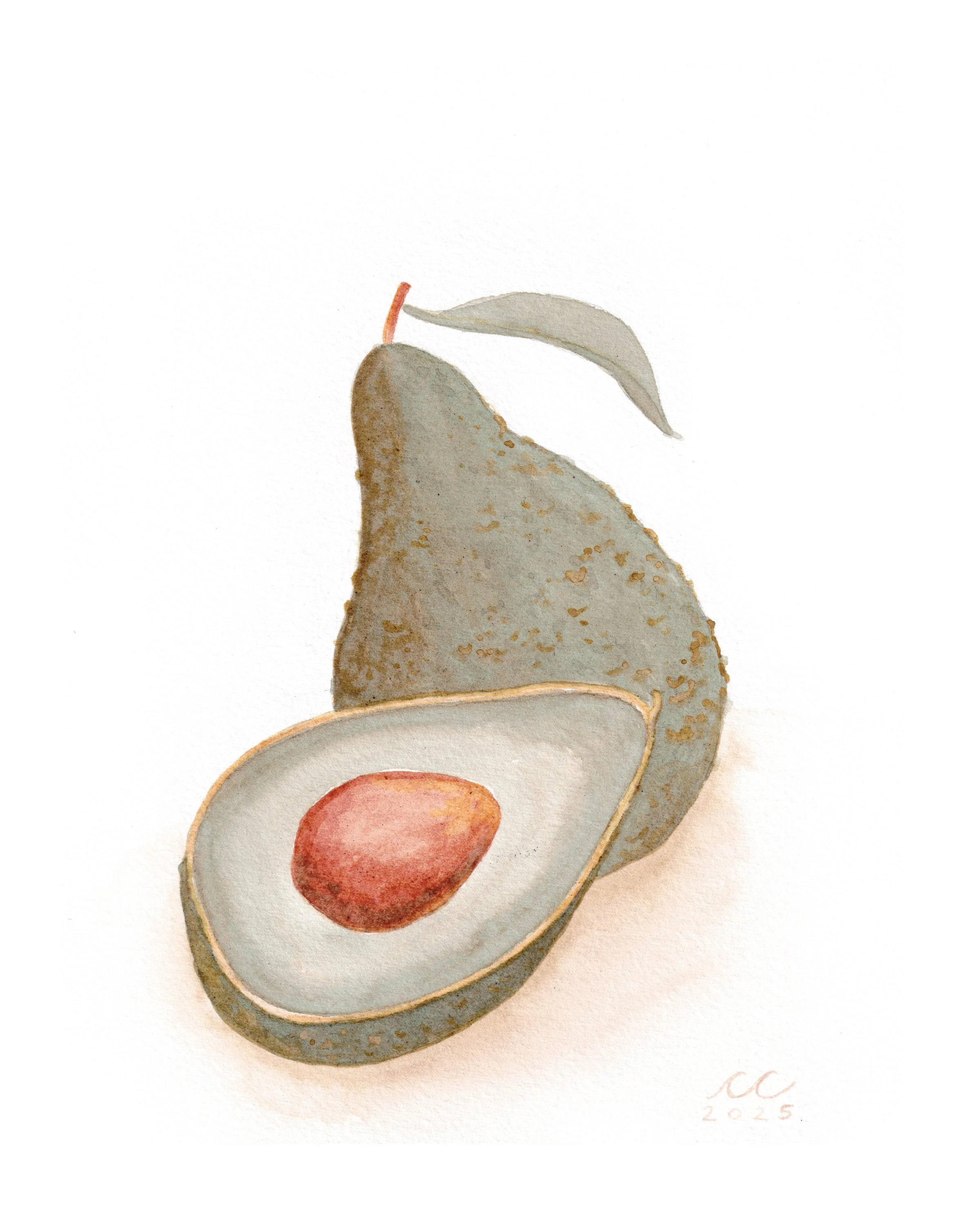 "Avocado"
Natural Avocado Watercolor
2025