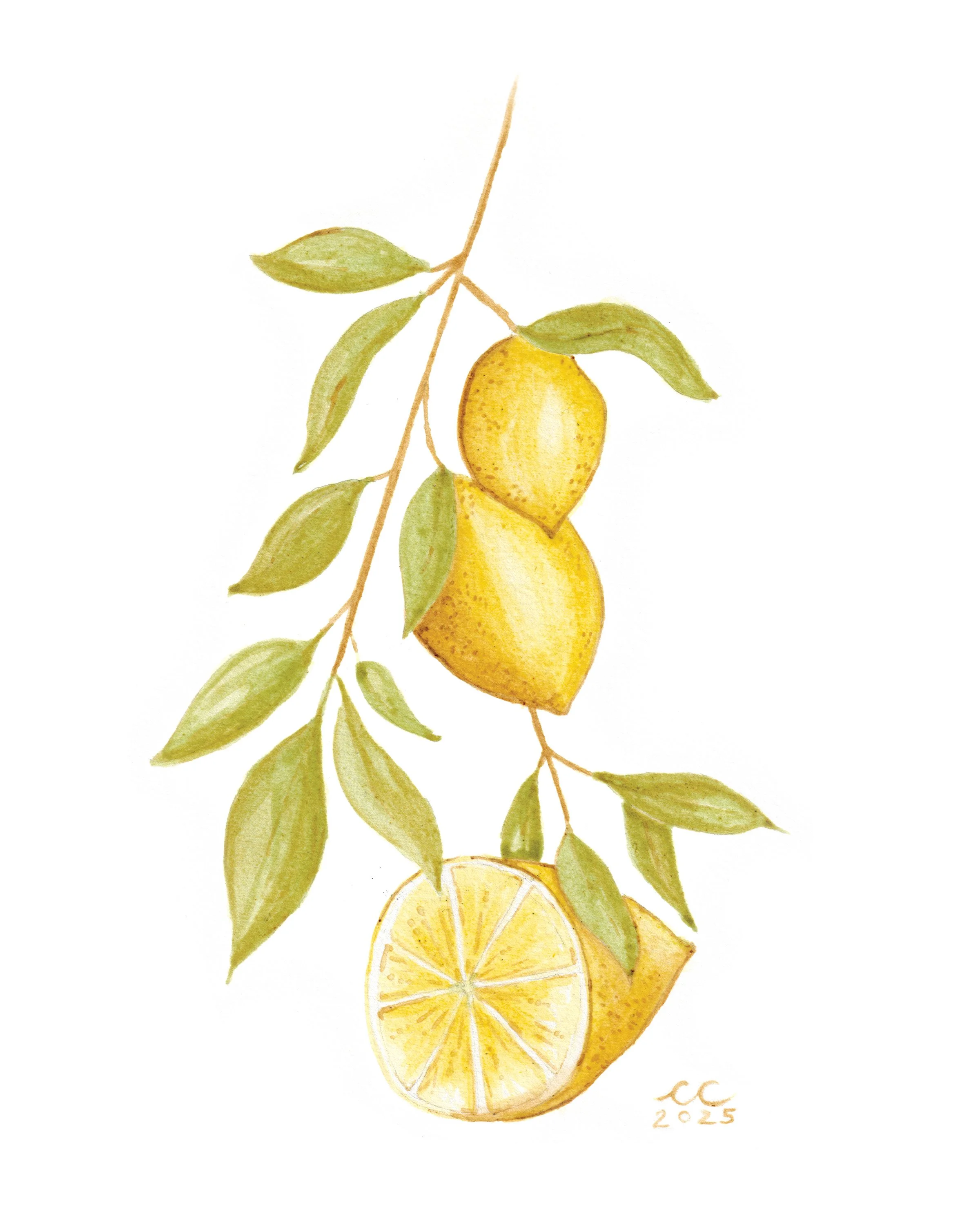 Lemons_8x10.jpg