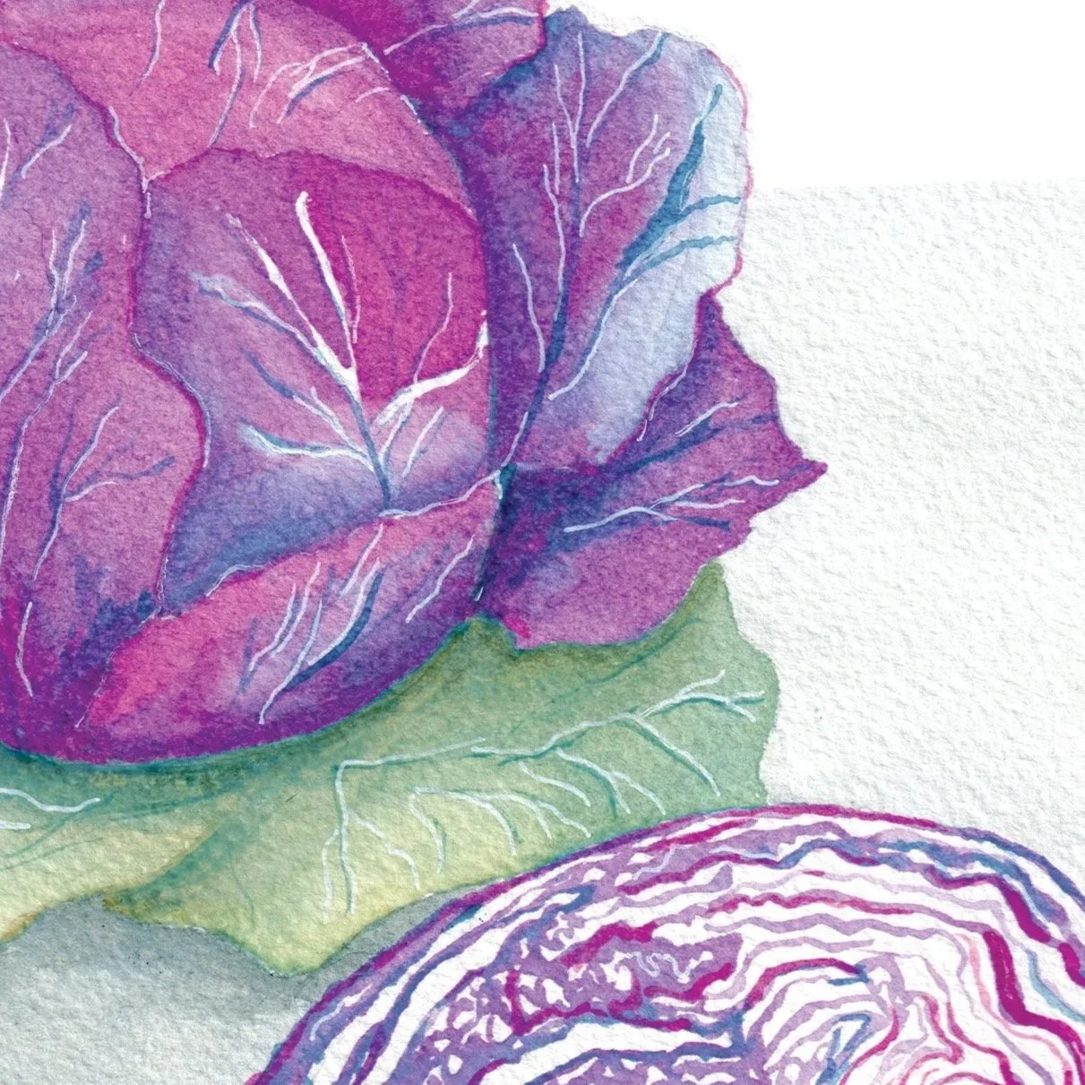 FROM PALATE TO PIGMENT