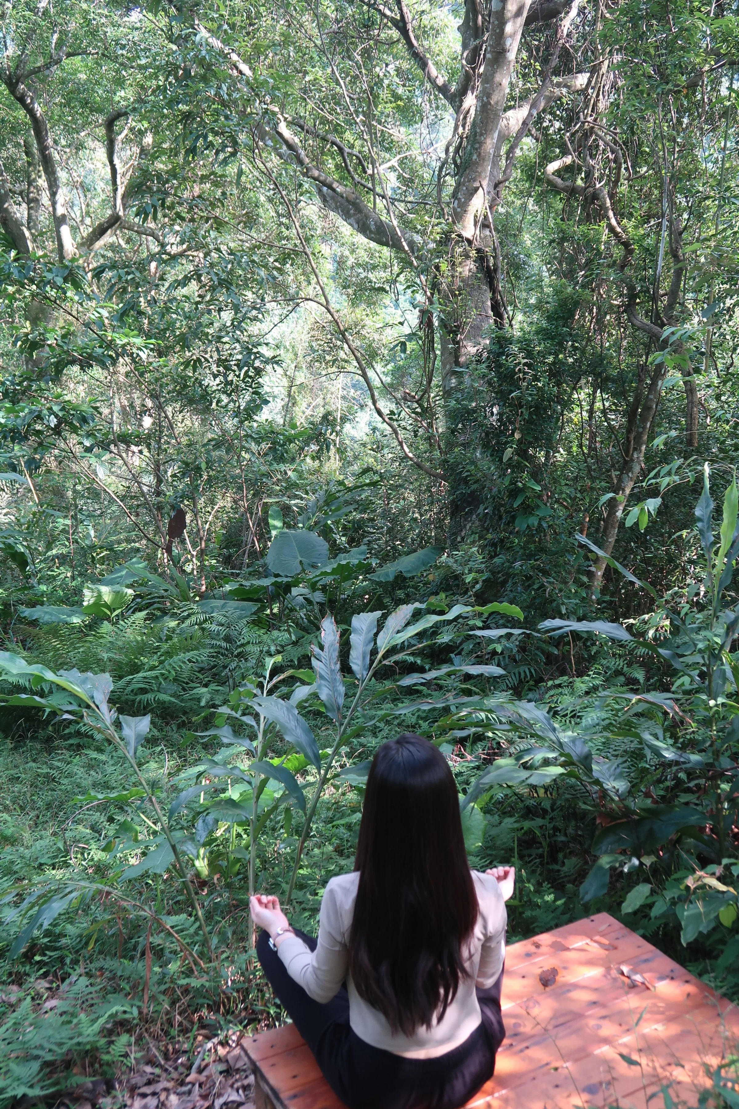 Forest Silent Retreat