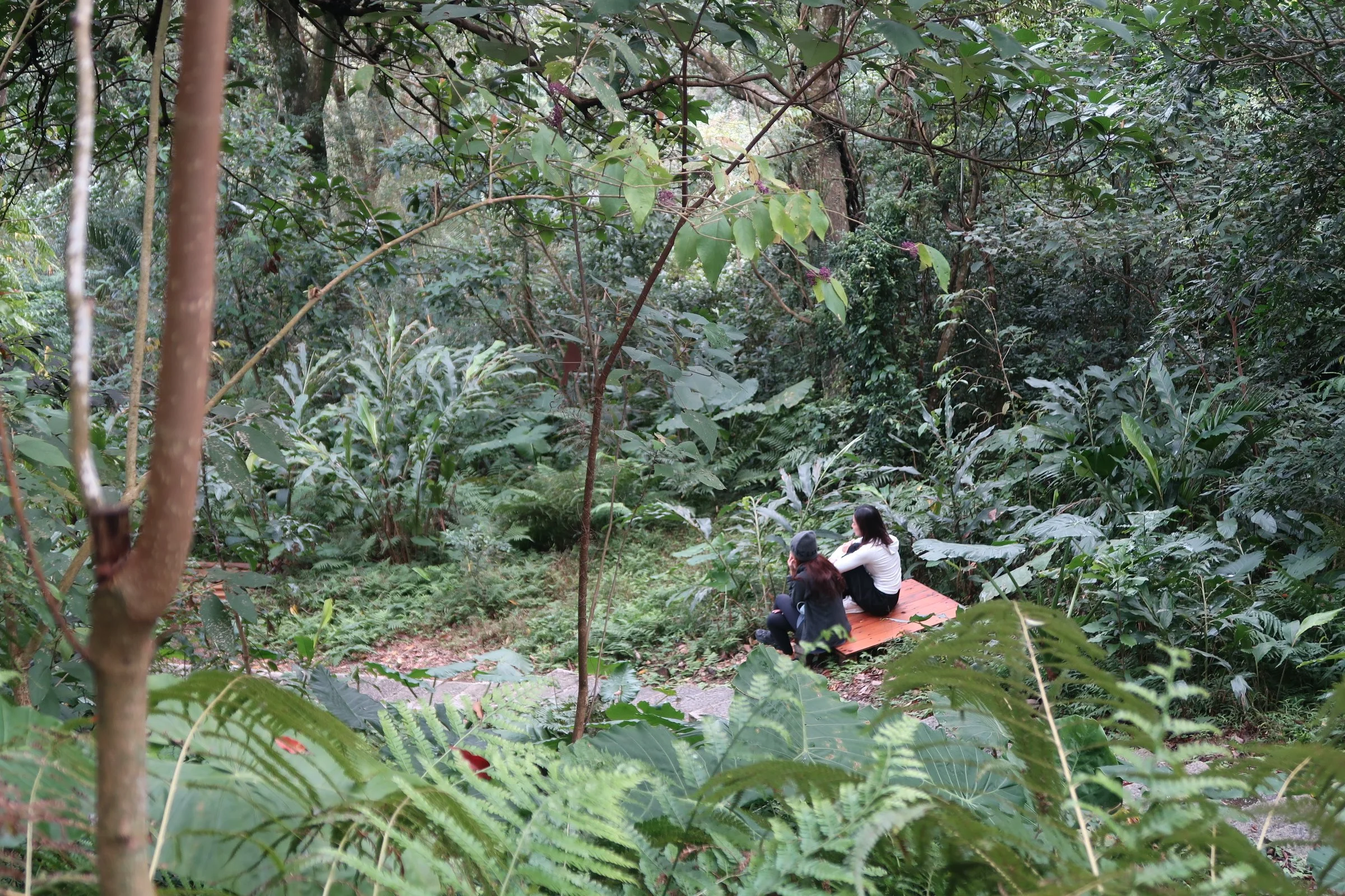 高敏人的溫暖森林僻靜：將療癒帶入生活 