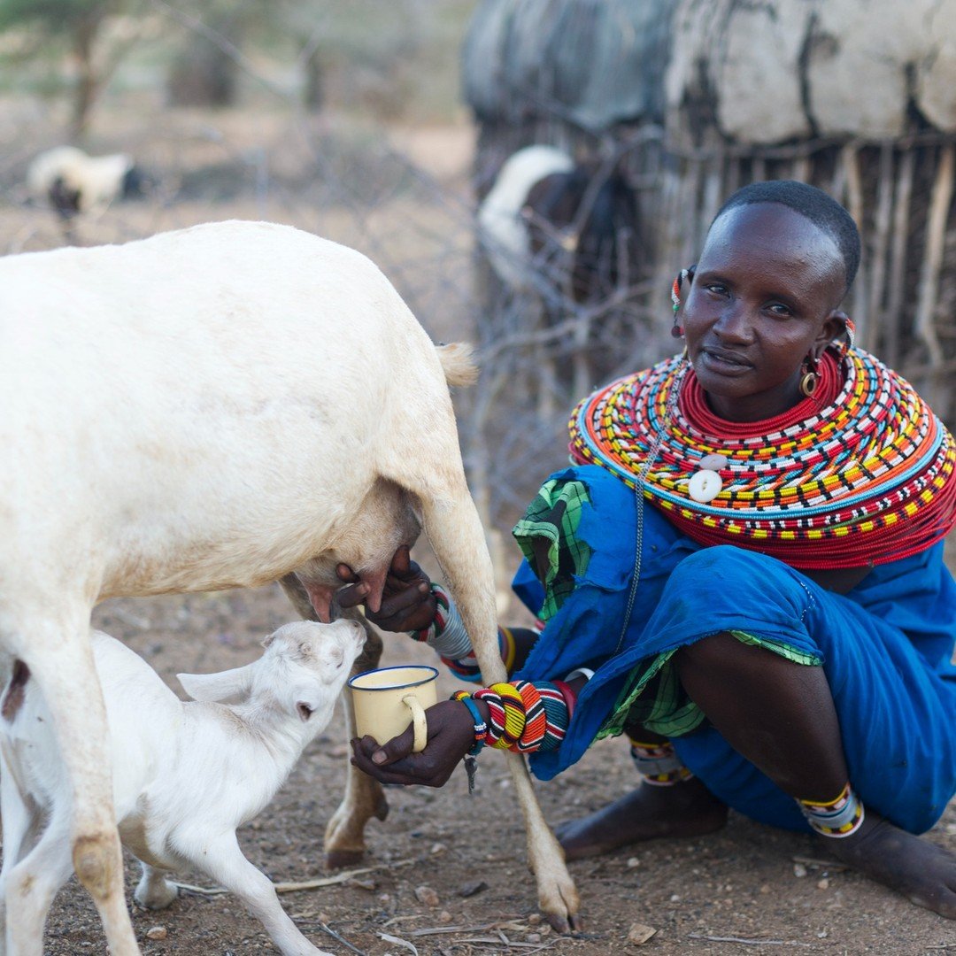 What makes a safari in East Africa special? Is it the encounters with incredible wildlife? Meeting new people and learning about their customs and traditions? Perhaps it is reconnecting with nature and breathing in the clean, fresh, air of the wide-o