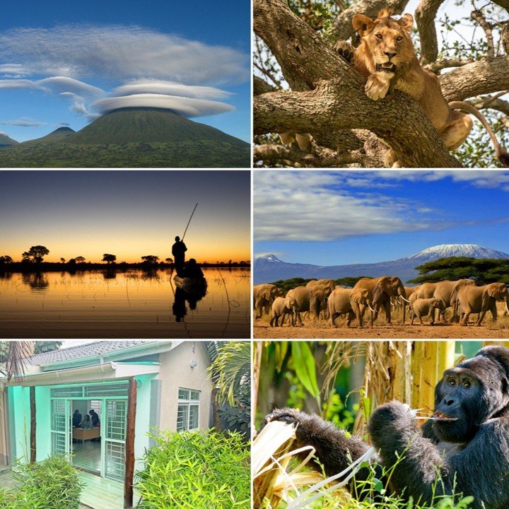 **East Africa Vs. Southern Africa: Which Is Best?**

In this month's newsletter, we are going to try to tackle the complex question of, &quot;where is best to safari, East or Southern Africa&quot;? This question has been asked since the dawn of the s