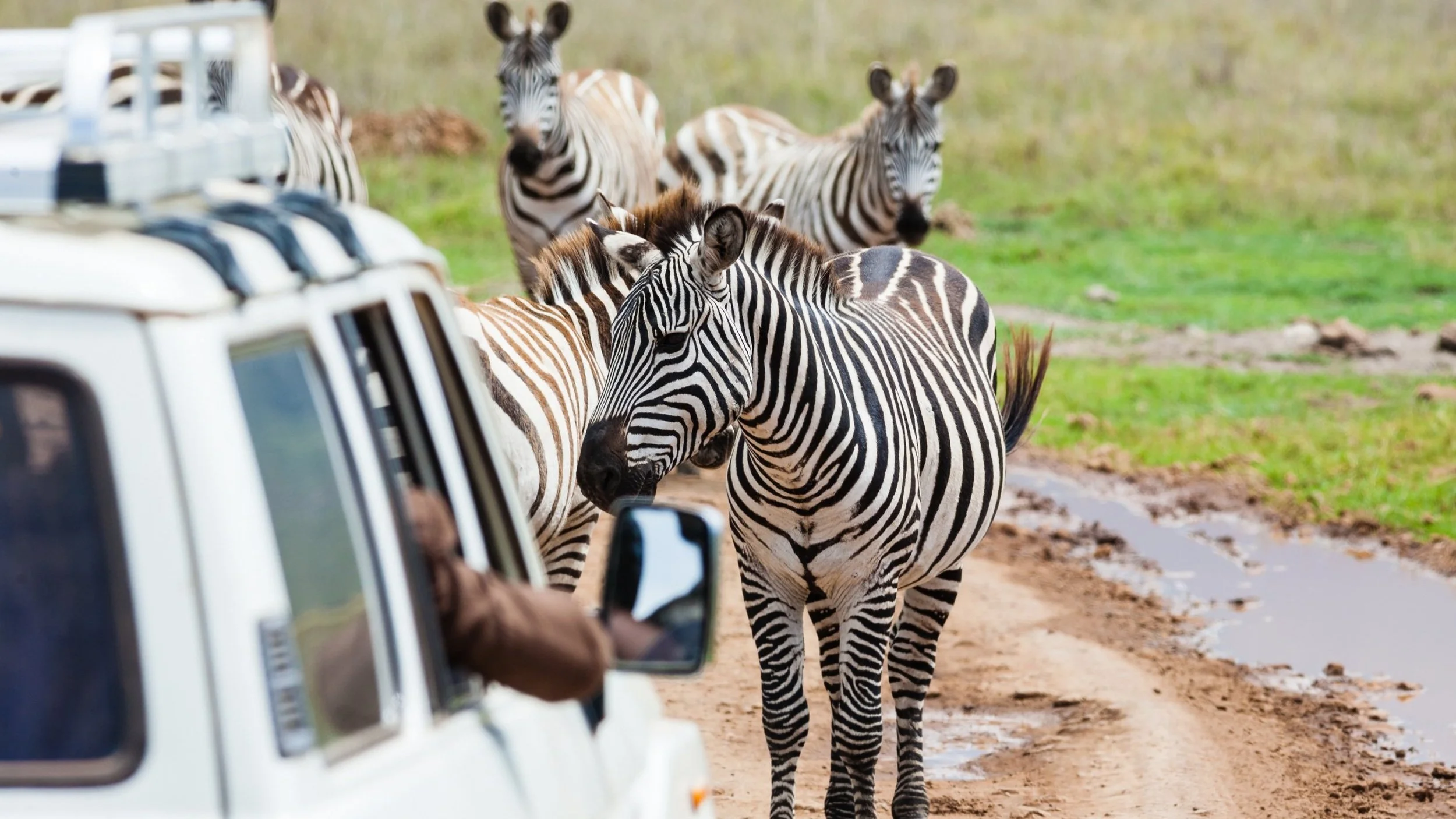 iStock-174785827.jpg