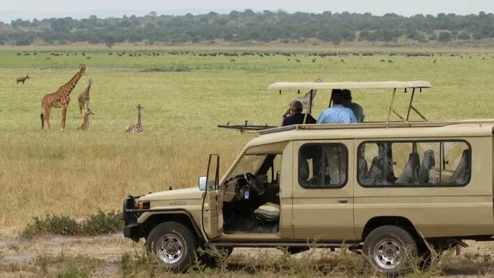 Akagera National Park is a conservation success story. Thanks to its rewilding programme, visitors can now experience a ‘Big Five’ safari in Rwanda.