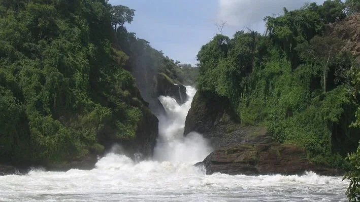 At Murchison Falls, the Nile River squeezes through a narrow gorge where white-water plummets in a thunderous roar into Lake Albert.
