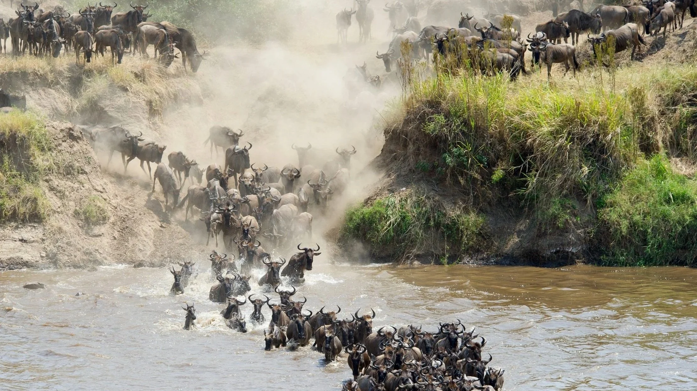 Meaning 'Endless Plains', the Serengeti is an incredible wildlife destination, most famous for the Great Migration, and home to 70 large mammal and 500 bird species.