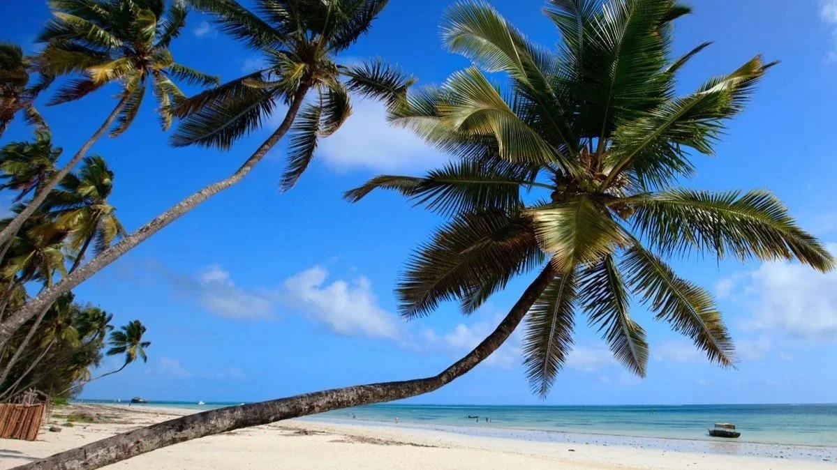 Located off the coast of Tanzania, the Zanzibar Archipelago consists of Zanzibar (locally, Unguja), Pemba and smaller islands. White sand beaches and turquoise waters await.