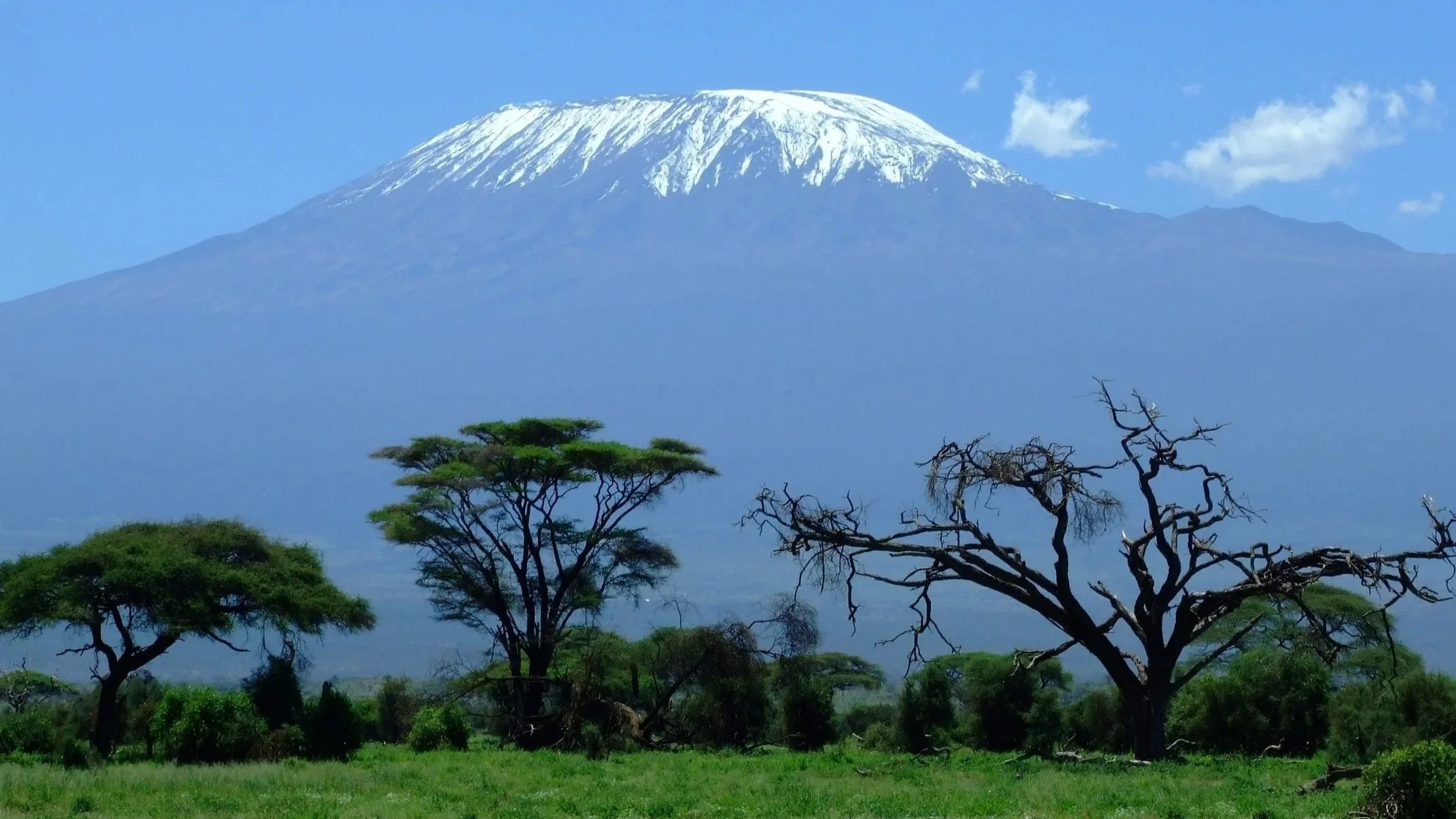 With an elevation of 5,895m / 19,341ft, Kilimanjaro is the highest mountain in Africa and the highest single free-standing mountain in the world.
