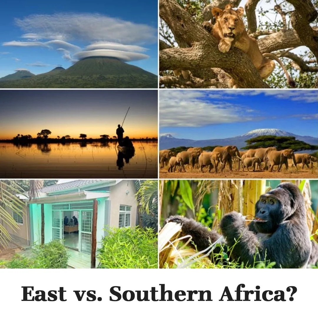 The ultimate safari debate: East Africa or Southern Africa? 🤔

It&rsquo;s the classic question! Both regions offer life-changing adventures, but their experiences are fundamentally different.

Here's a quick take:

🦁 CHOOSE EAST AFRICA FOR:
Epic sp