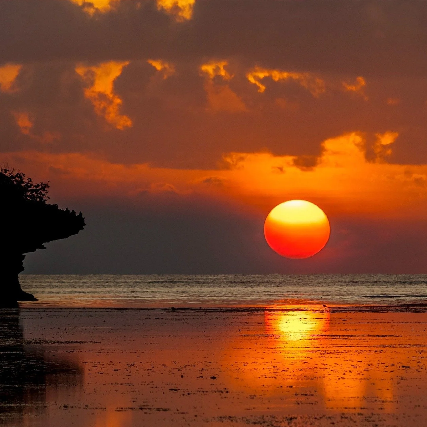 The World's Greatest Natural Stage! 🌍

East Africa has the natural world as its stage. From seeing magnificent wildlife in their natural habitat, to enjoying the warm waters and spectacular sunsets of the Indian Ocean, East Africa is a must for thos