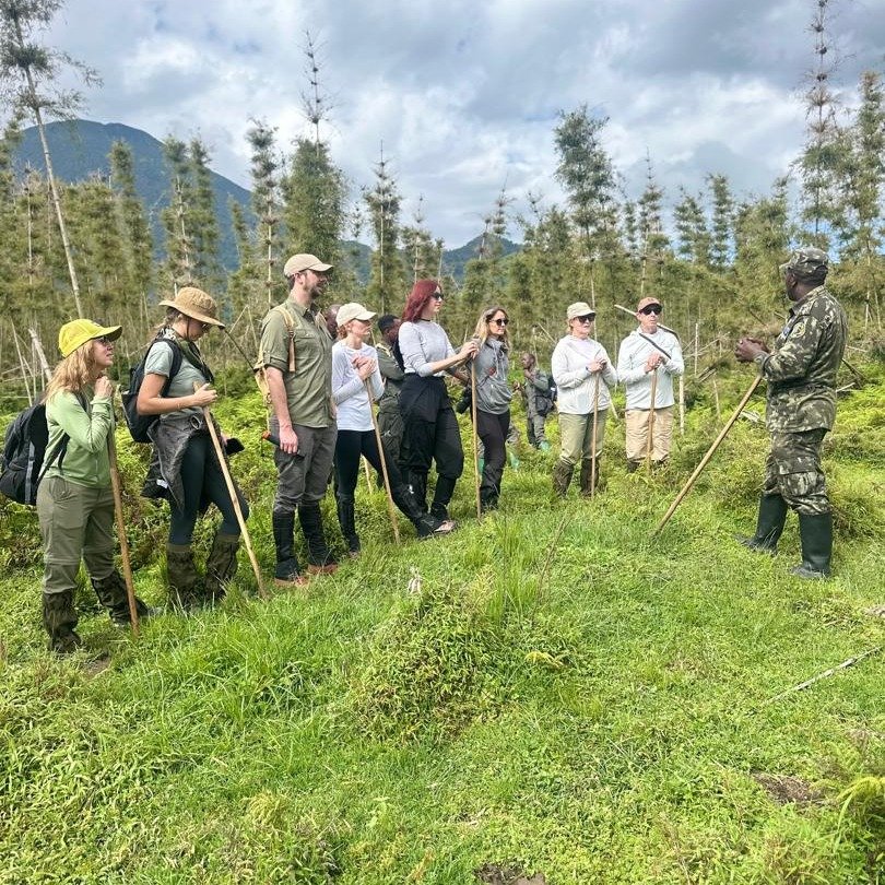 Our final Rwanda FAM Trip of the year just wrapped up, and our amazing travel advisors had a truly unforgettable experience! 🤩

From meeting the friendly locals, witnessing the majesty of the Mountain Gorillas and seeing the energetic Golden Monkeys
