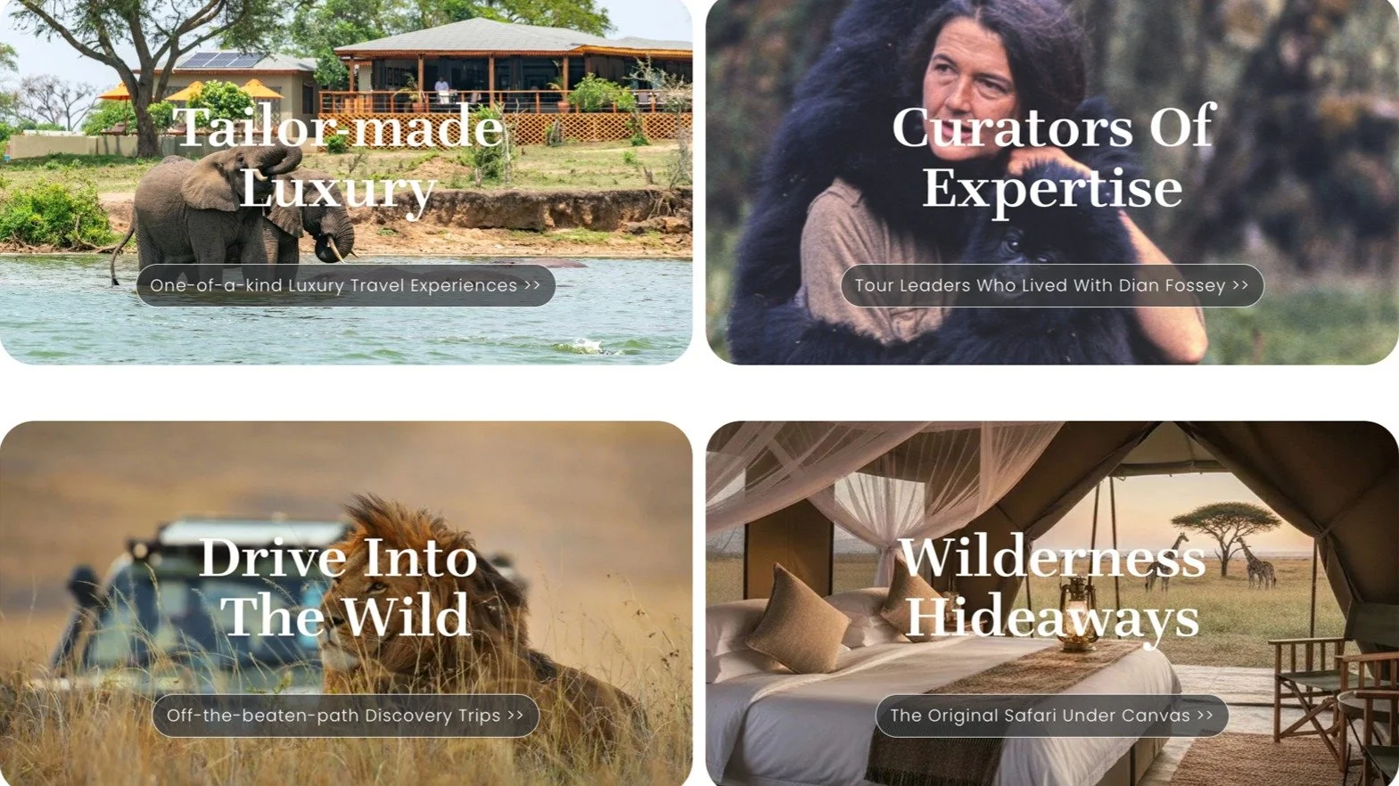 🗝️ Unlock the Next Level of East African Safaris!

Calling all Travel Advisors! Are you ready to move beyond standard itineraries and sell truly bespoke, high-value luxury experiences in East Africa?

We are thrilled to showcase the Travulous Specia