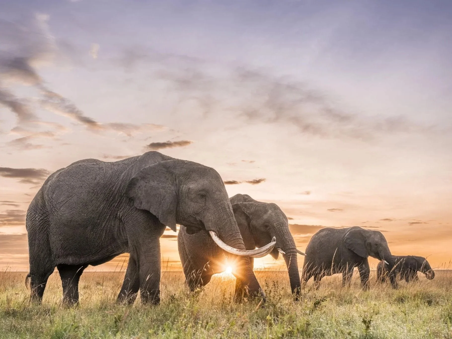 JANUARY, 2026: Our 2026 FAM TRIPS are officially here! Experience the extraordinary with Travulous.