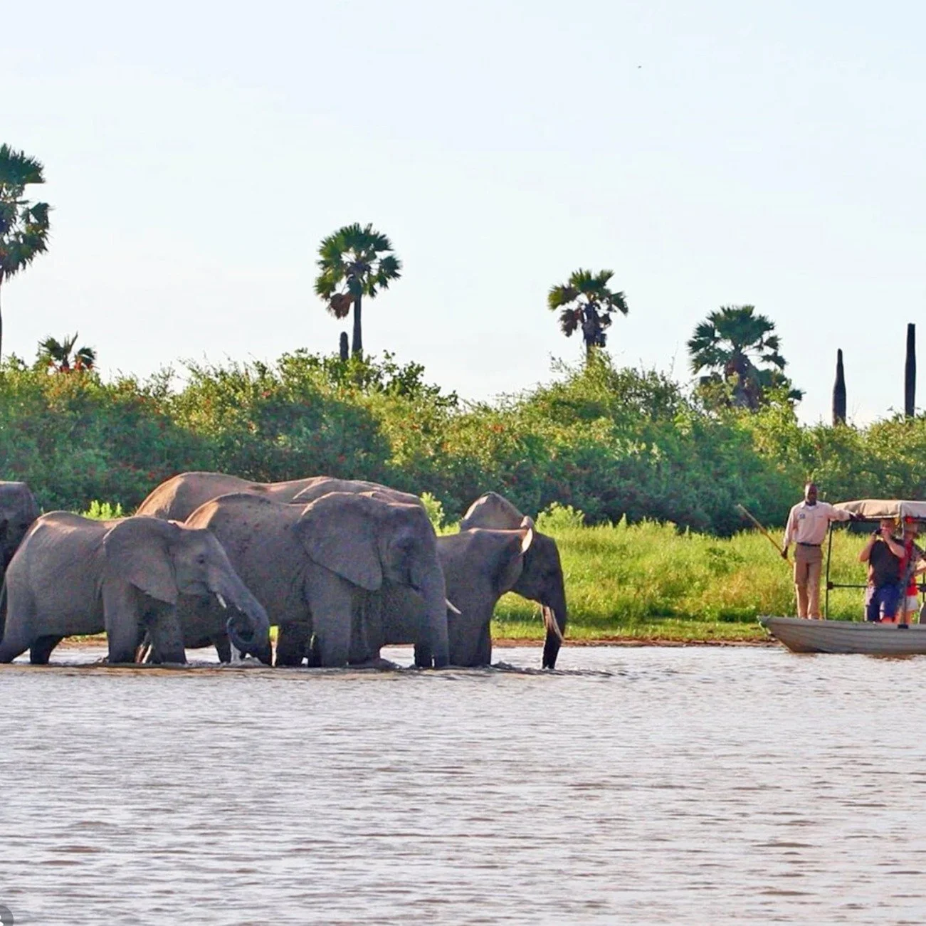 As Tanzania&rsquo;s largest sanctuary, Nyerere National Park offers a masterclass in safari diversity. 

From the thrill of fly-camping under the stars to the quiet elegance of a boating safari, this is where the Rufiji River brings the wild to life.