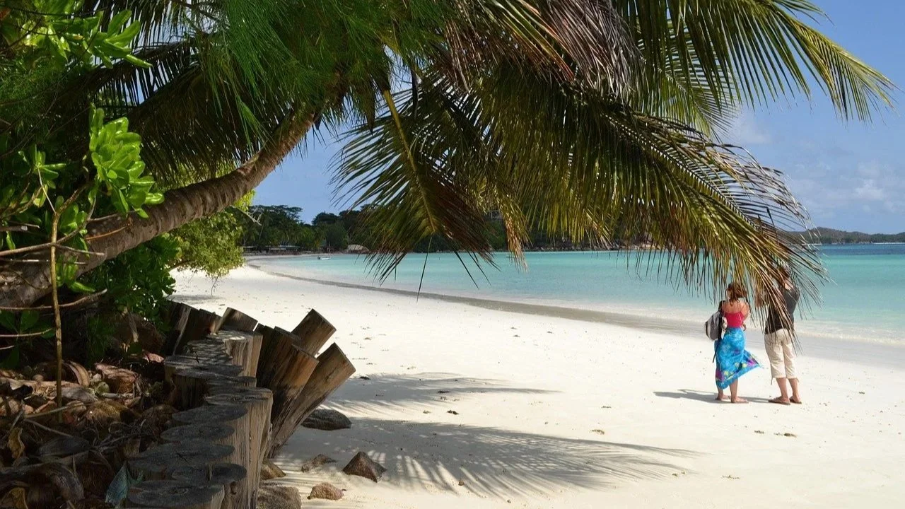 Praslin is home to the UNESCO-listed Vallée de Mai, a prehistoric forest where the rare coco de mer grows wild. Explore tranquil sanctuaries and beaches.