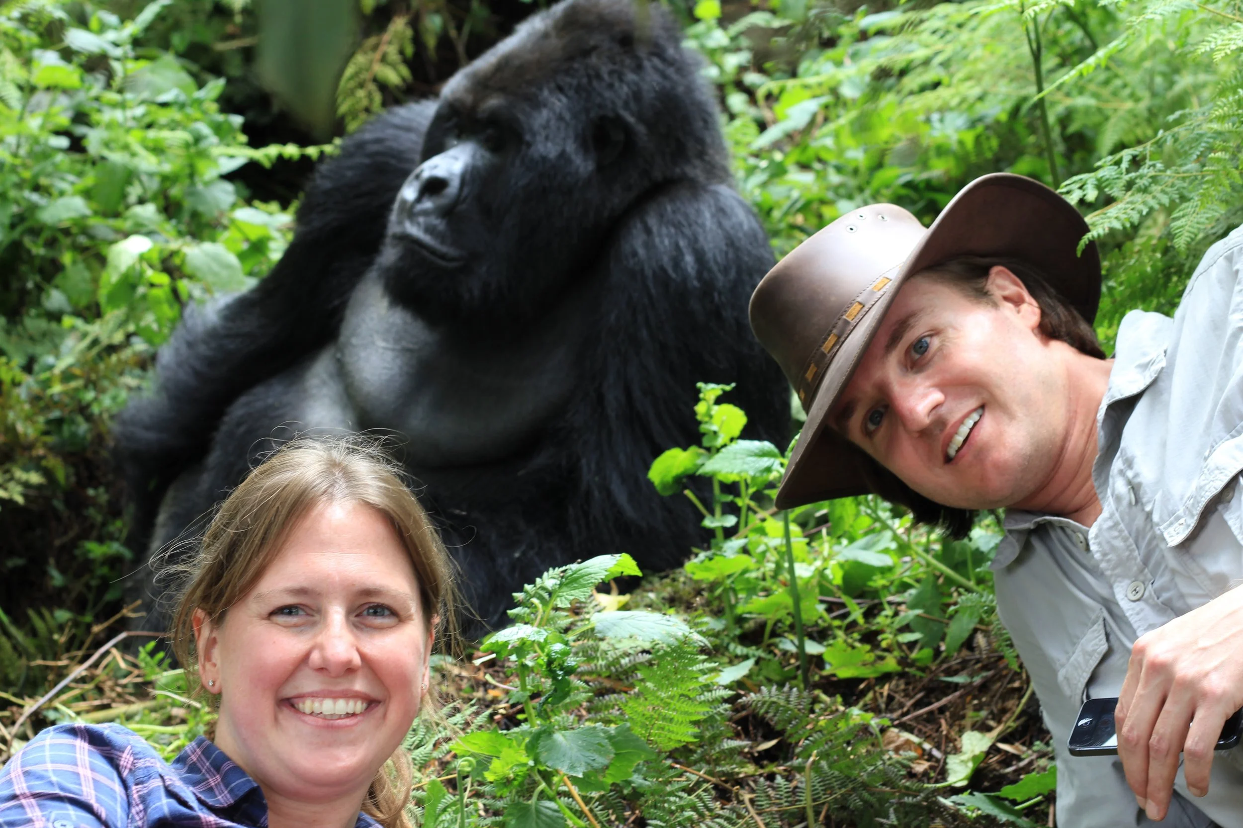 A Gorilla's Sign: How a Love for Conservation Founded Travulous
