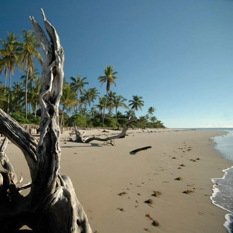 Imagine a place where the scent of the salt air mingles with the dust of the African plains.

Welcome to Saadani National Park, the only coastal wilderness in East Africa. It&rsquo;s a rare ecosystem where you don't have to choose between a safari an