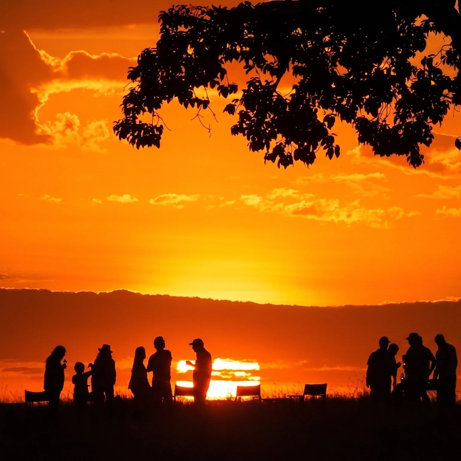 After a spectacular day on game drives, filled with unforgettable wildlife encounters, there is truly nothing better than returning to camp.

Picture this:

⏹ The Golden Hour: Standing with a cold drink in hand, watching the sky turn to fire during a