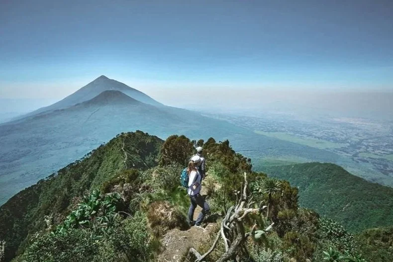 The Ultimate Purpose: Why Every Department is my Favourite at Travulous