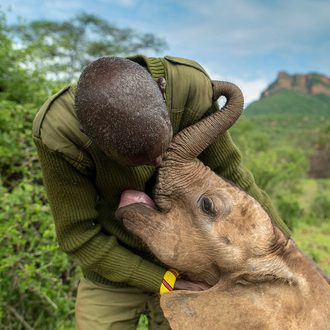 How do you turn a standard safari into a narrative journey? Pull back the curtain on modern conservation. 🐾

This month, we feature East Africa's top ethical strongholds in Rwanda, Uganda, Kenya, and Tanzania. These world-class organisations, includ