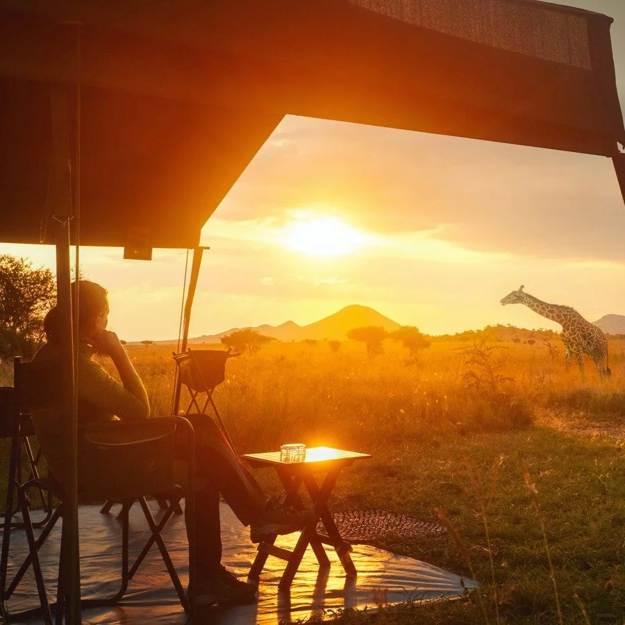 How do premium travel advisors seamlessly scale multi-destination portfolios across East Africa and the Indian Ocean? 🏝️ 

It takes more than luxury property access, demanding flawless execution and trusted on-the-ground expertise instead.

In our l