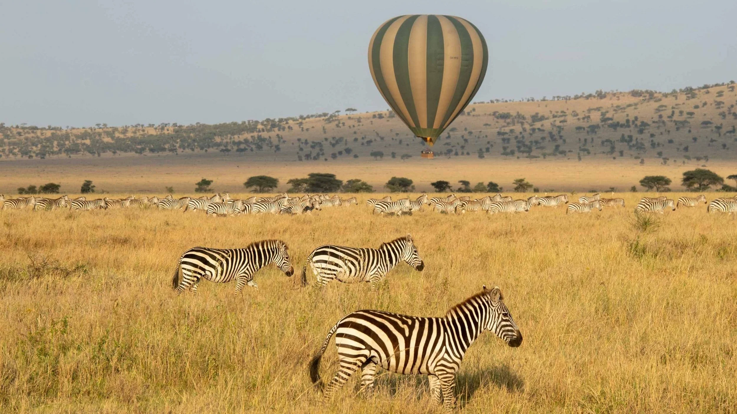 In Search of Tanzania's Big Five