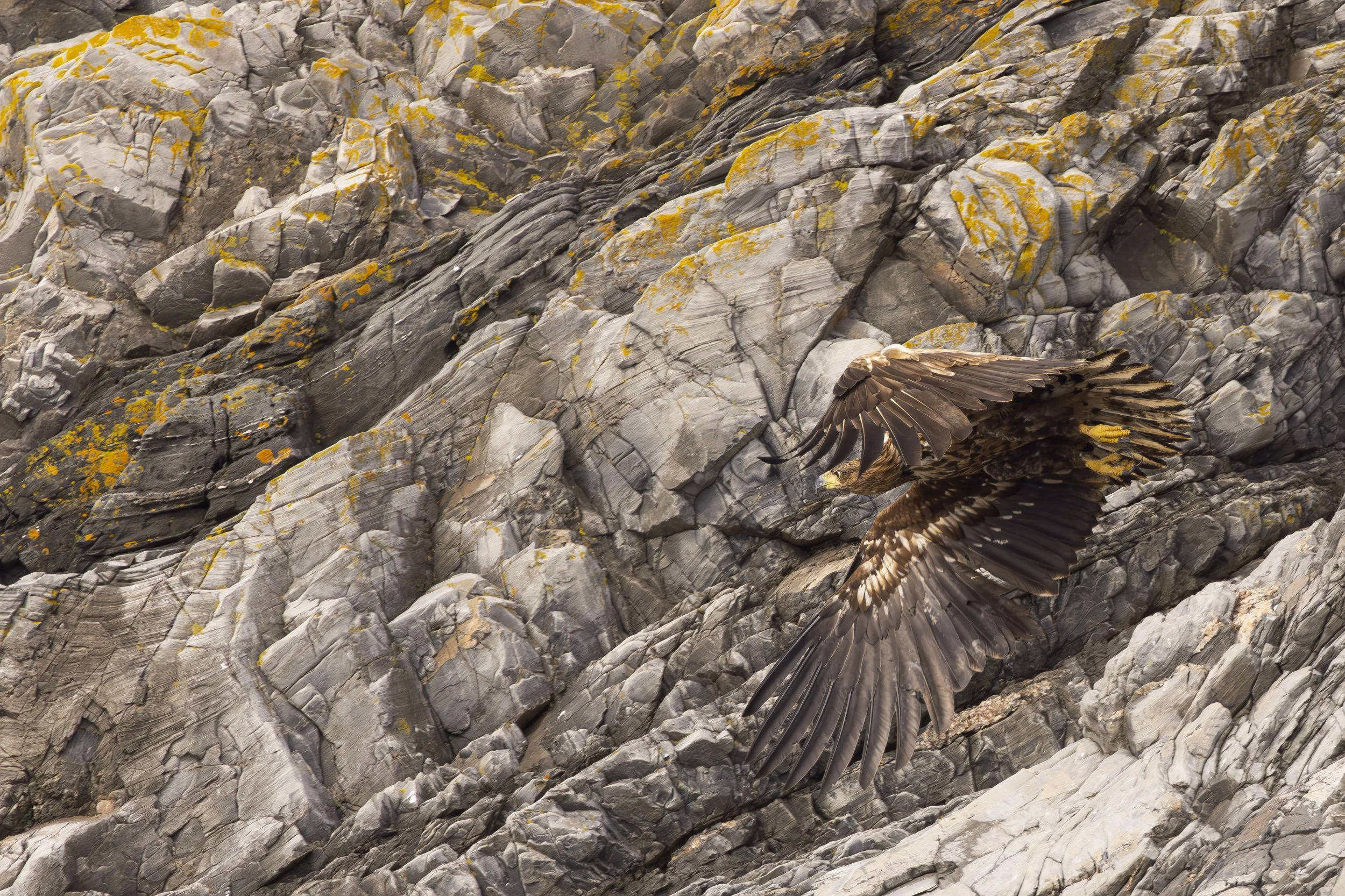 20210705-_K6A8036 (1)-Forbedret-NR.jpg