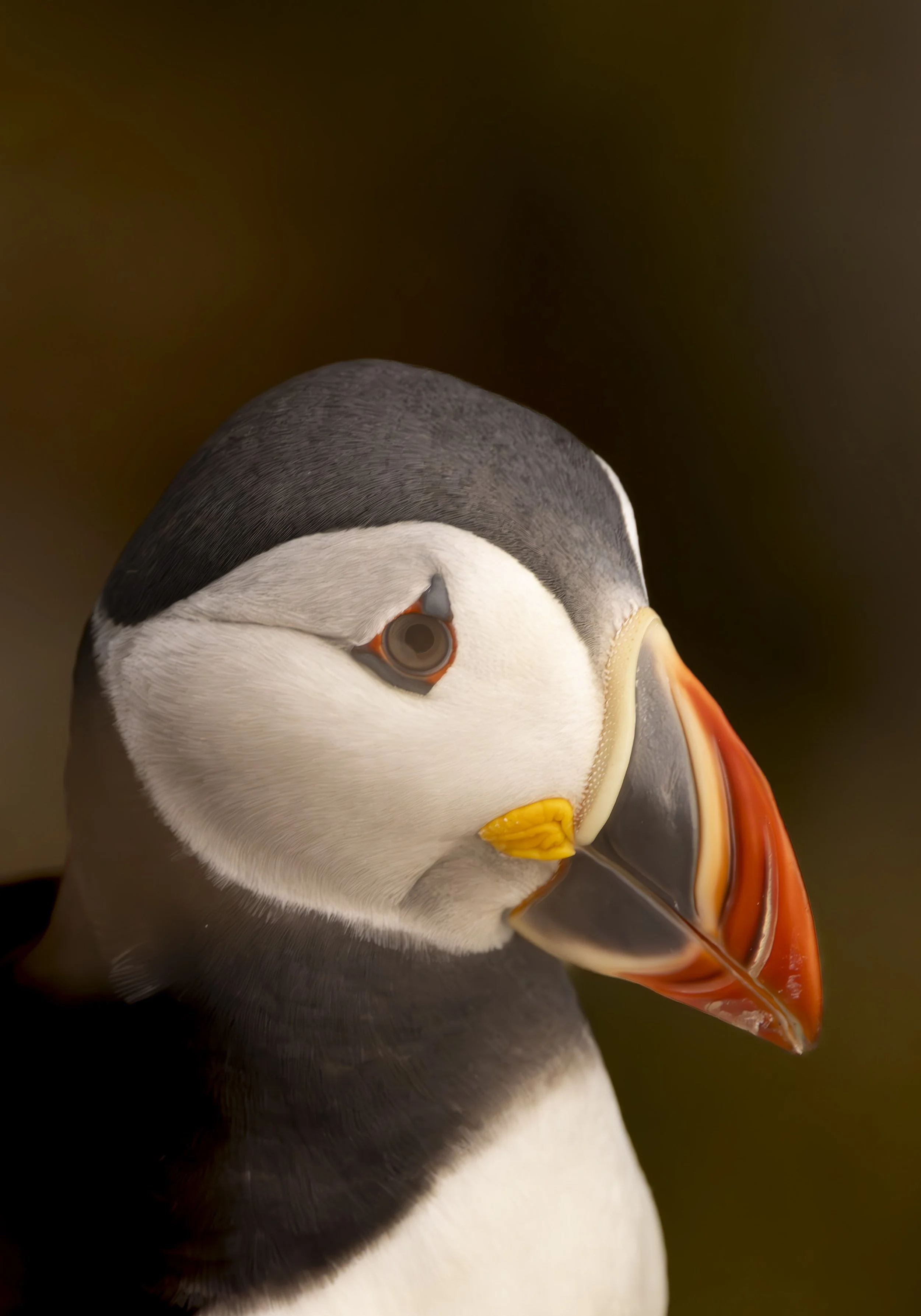 20210705-_K6A0377 (1)-Forbedret-NR.jpg