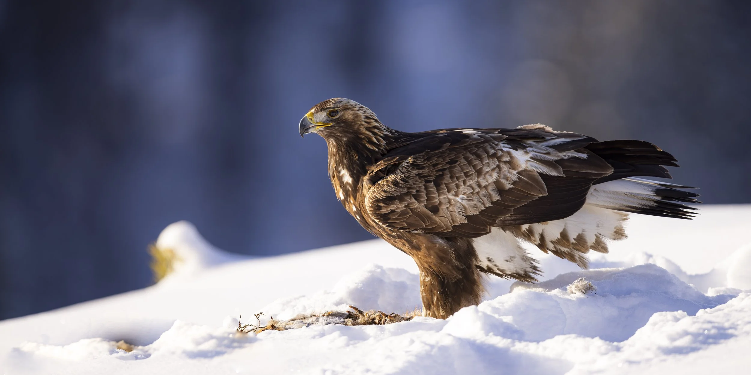 20220215-4K6A5080 2.jpg