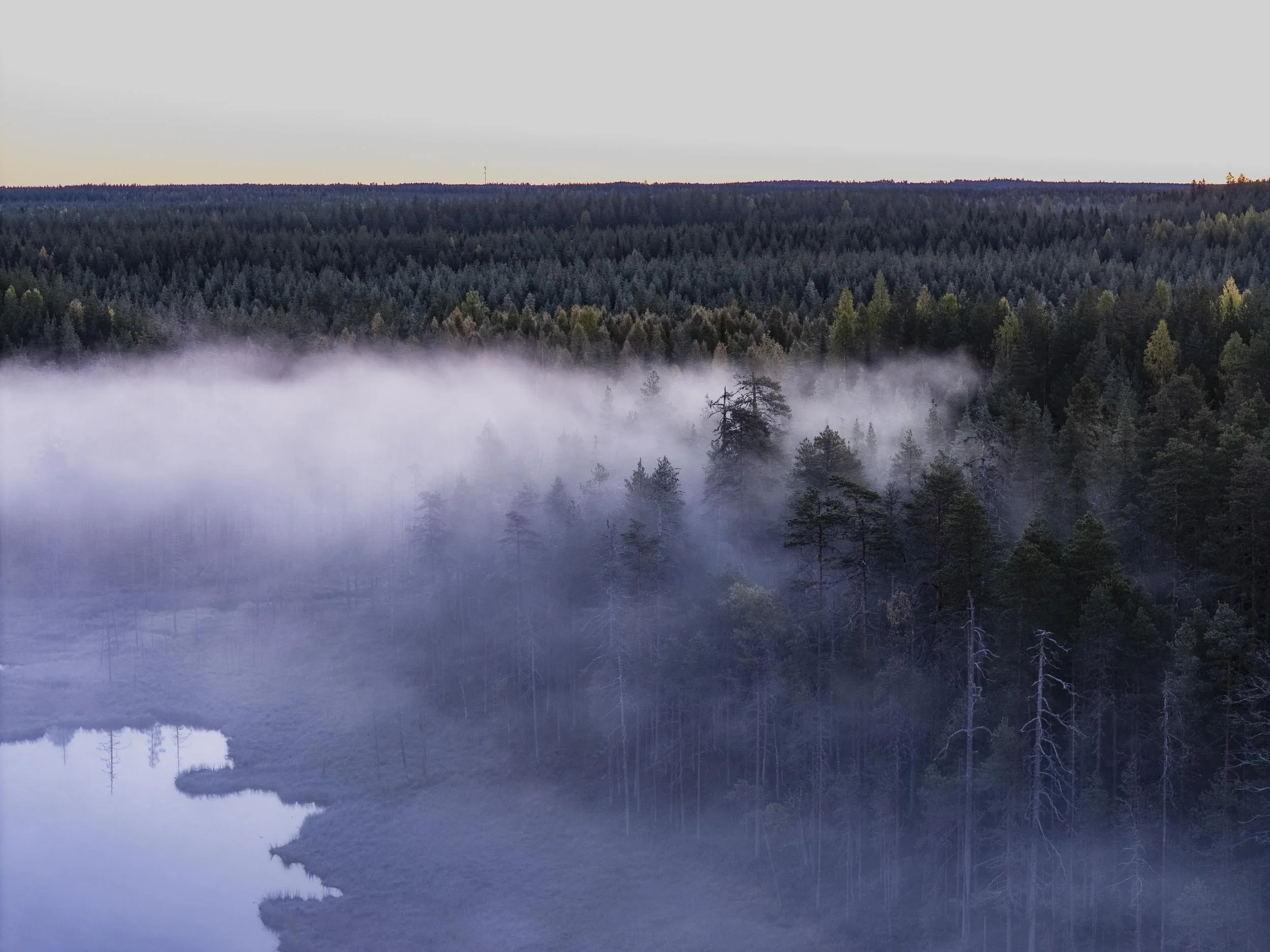 ilmakuvat-dronella-kuopio_1 (22).jpg