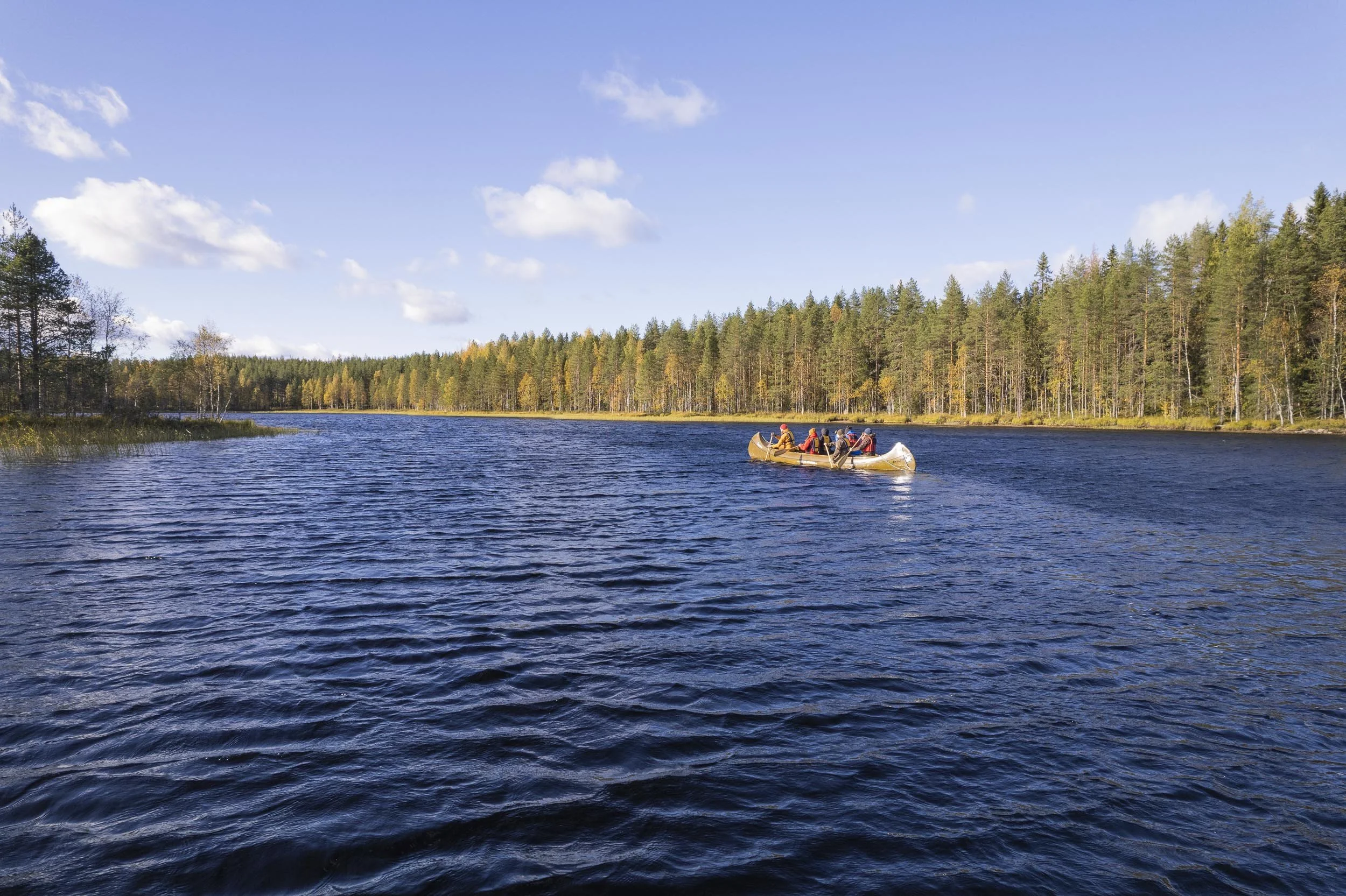 ilmakuvat-dronella-kuopio_1 (20).jpg