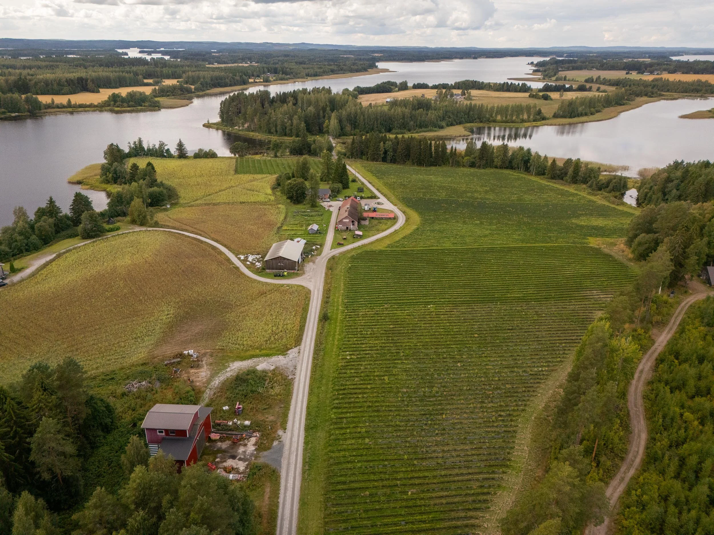 ilmakuvat-dronella-kuopio_1 (1).jpg