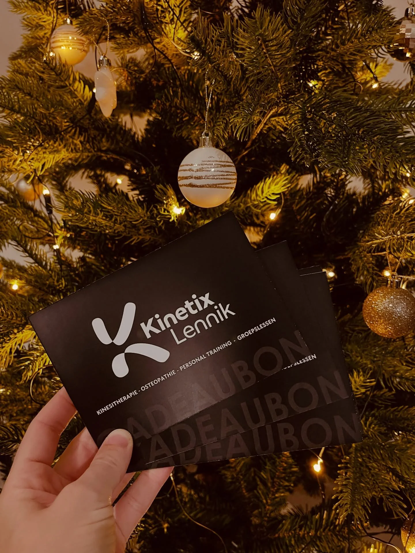 🎁 OP ZOEK NAAR HET PERFECTE CADEAU?

Geef gezondheid, beweging &amp; herstel cadeau. 💪🏻✨
Met de 𝗞𝗶𝗻𝗲𝘁𝗶𝘅 𝗟𝗲𝗻𝗻𝗶𝗸 𝗰𝗮𝗱𝗲𝗮𝘂𝗯𝗼𝗻 zit je altijd goed.
In te ruilen voor: personal training, beurtenkaart groepslessen &amp; zoveel meer!

