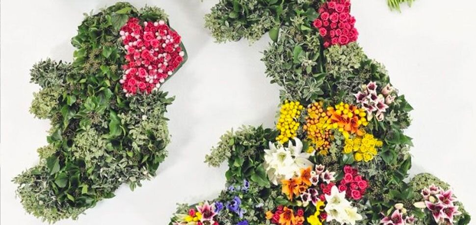 WE MAPPED THE UK WITH FLOWERS