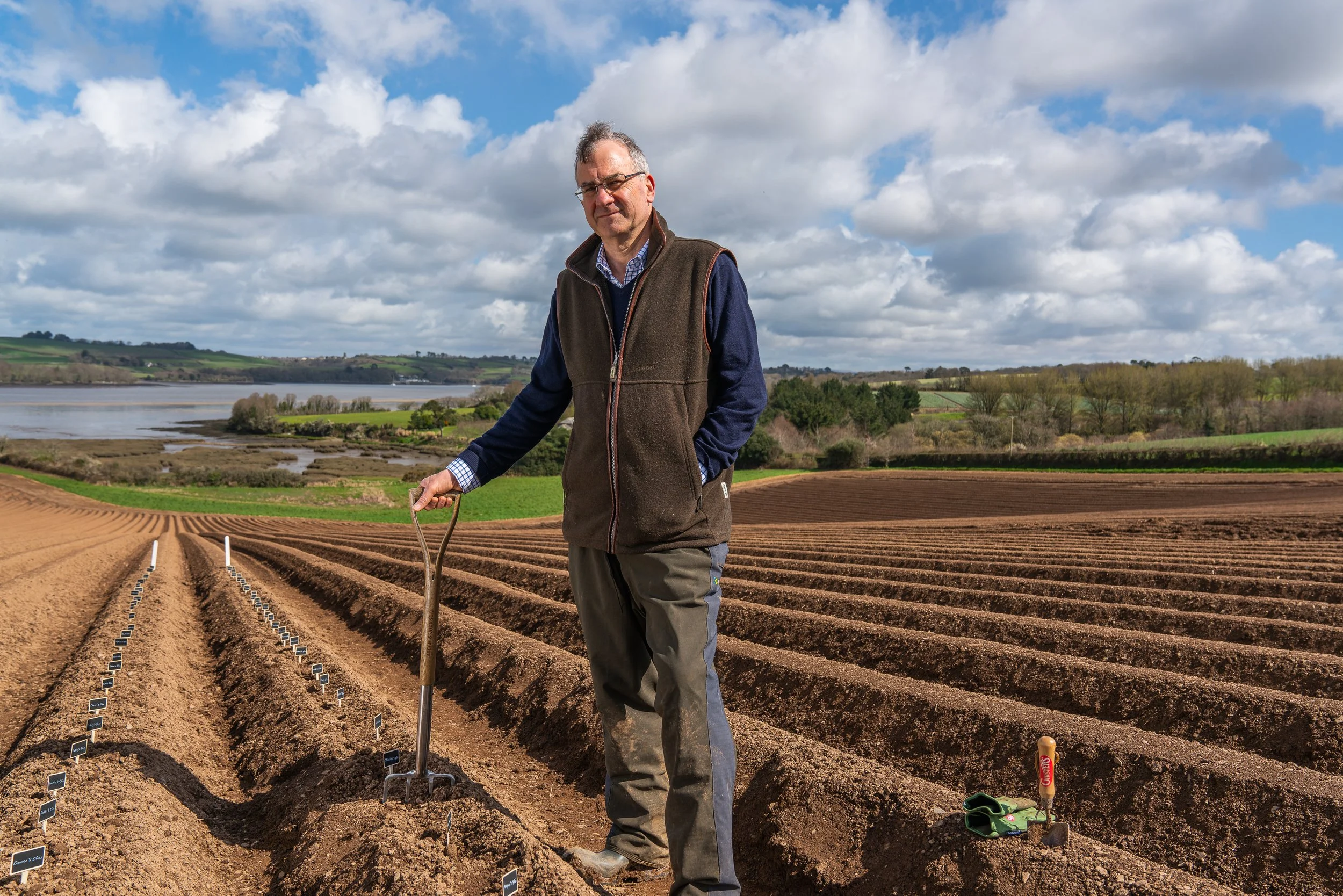 SOW YOUR OWN SLICE • GINSTERS