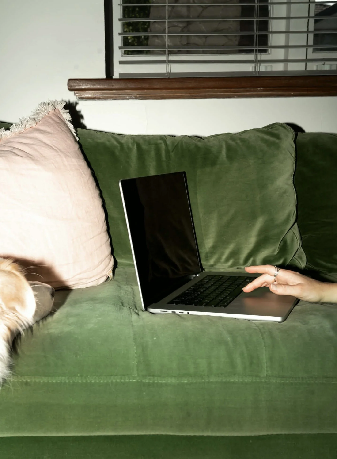 What should I consider when selecting a website design and development company?