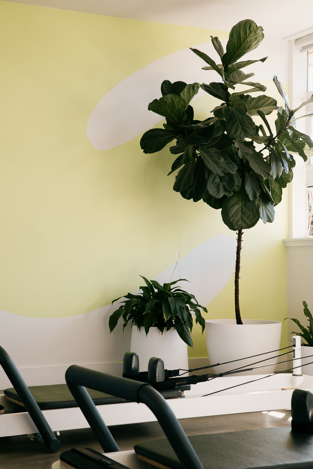 Salt-Pilates-Studio-Balaclava-Reformer-Pilates-Sunlit-Studio.png
