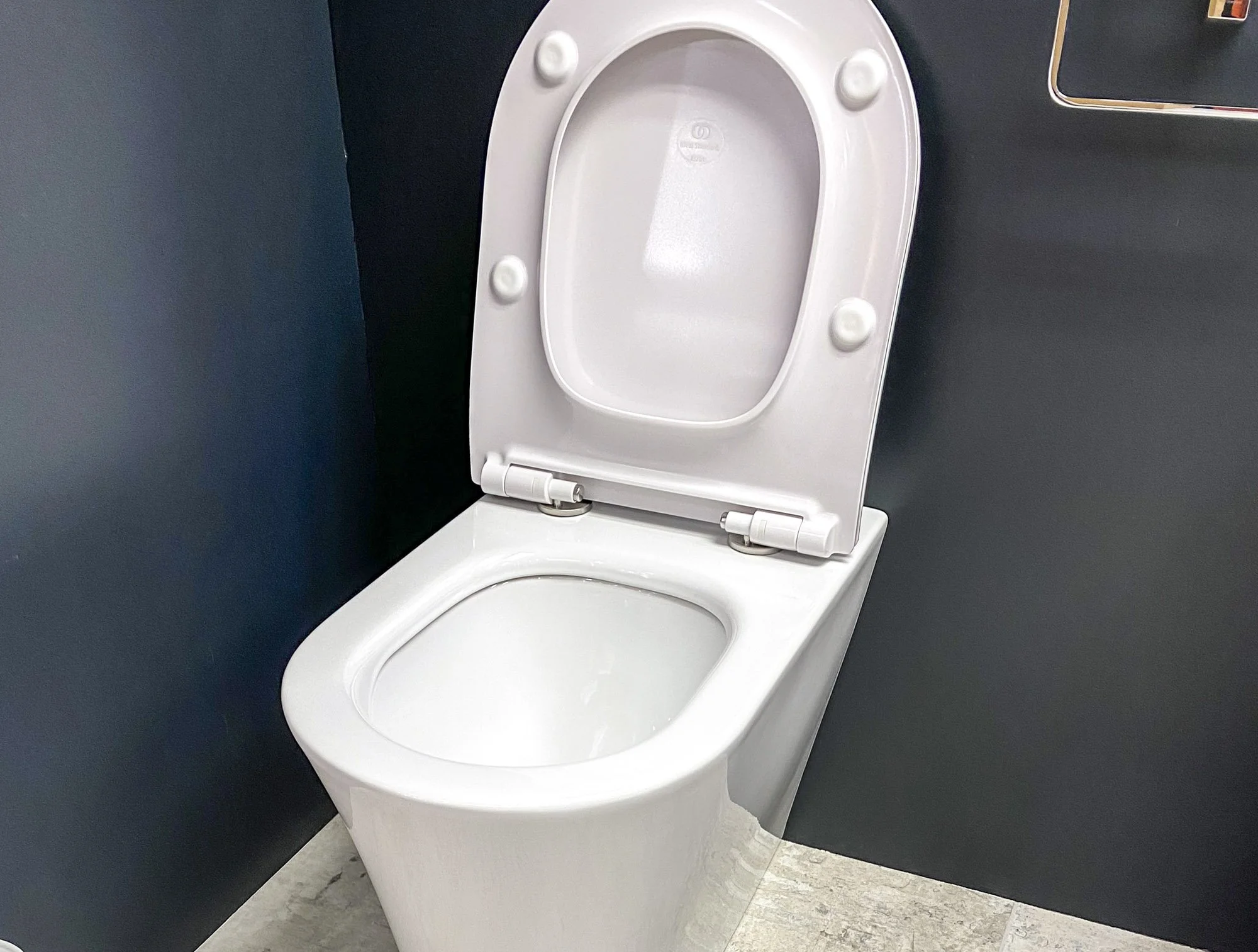 Ex-Display Ideal Standard Dolce Vita Back to Wall pan & Seat (2 of 2).jpg