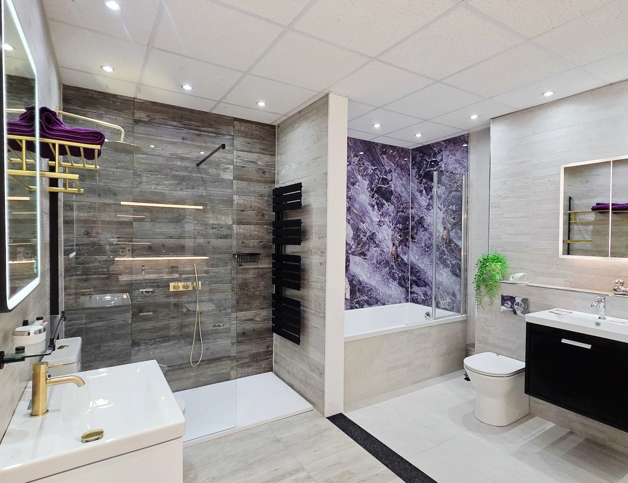 Modern bathroom with a walk-in shower, white sink, toilet, mirror, and decorative elements including a plant.