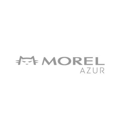 Morel Azur Logo.jpg