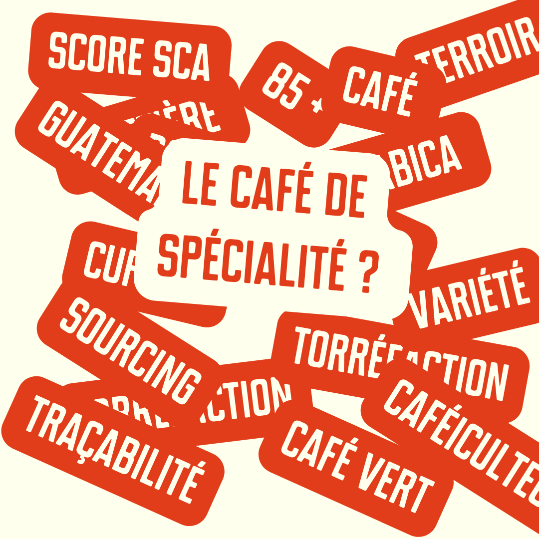 Le café de spécialité, c’est quoi ? 