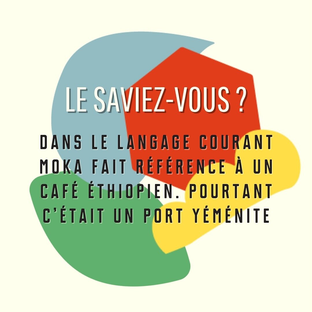 ❤️ Si vous dites &laquo; J&rsquo;aime les mokas &raquo;, vous pourrez en embrouiller plus d&rsquo;un !

Comme beaucoup de mots dans la langue fran&ccedil;aise, le mot &laquo; moka &raquo; est polys&eacute;mique, il a plusieurs sens et certains m&ecir