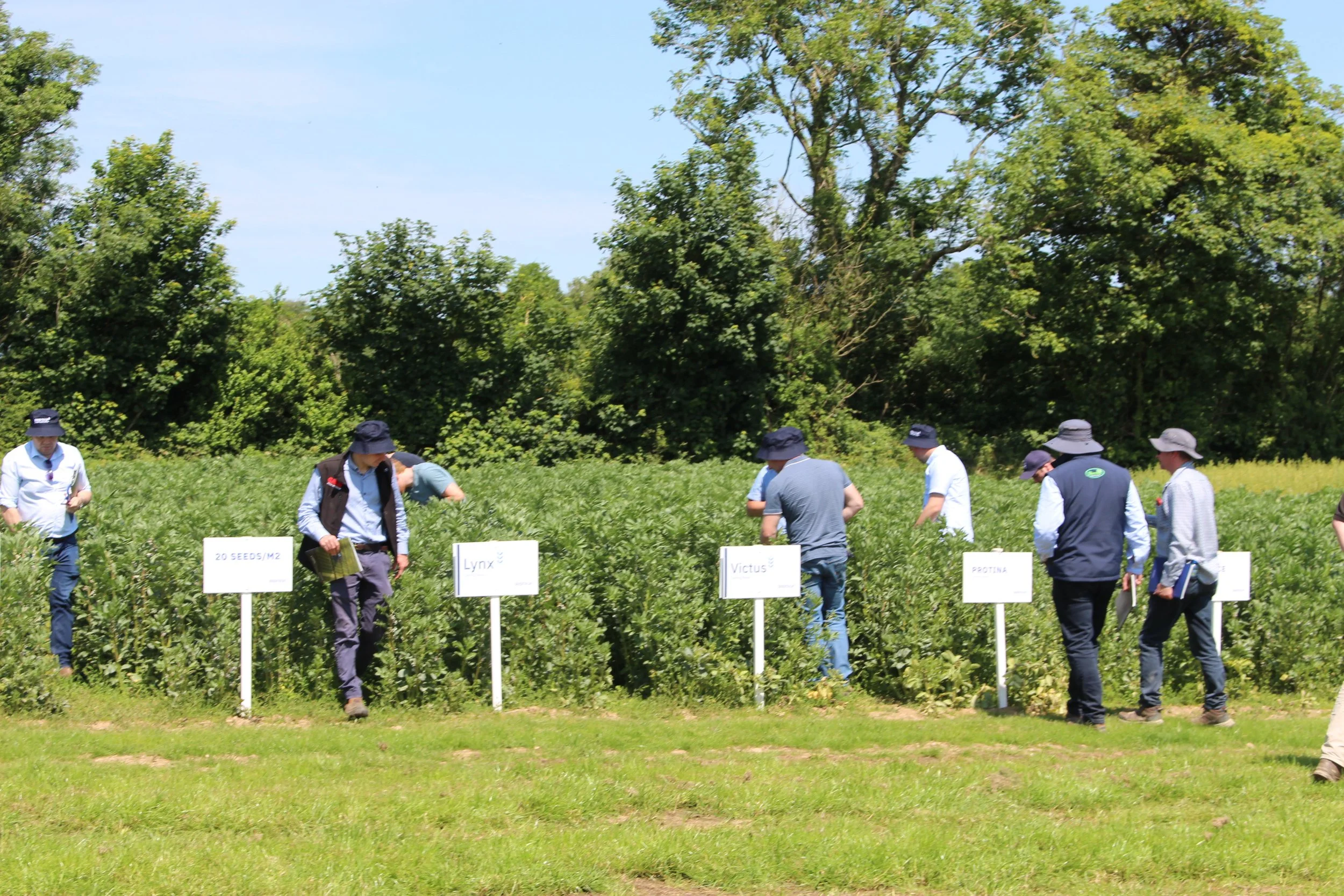 crop inspection.JPG