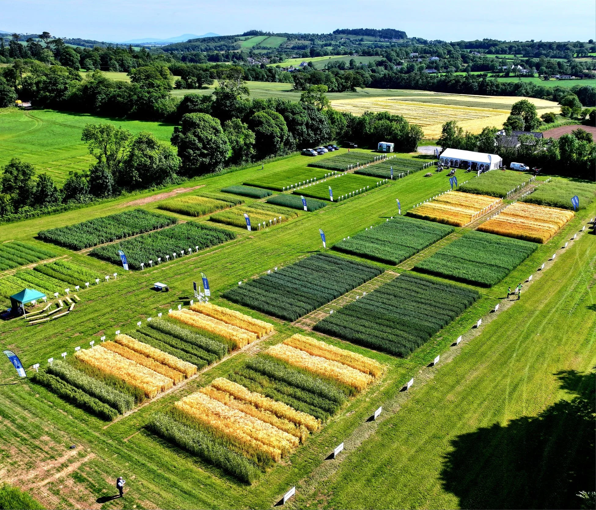 SEEDTECH WELCOMED OVER 300 TO OUR 2025 OPEN DAY
