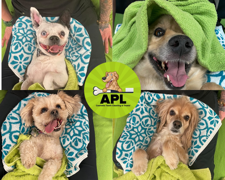 Global Pet Foods Woodstock