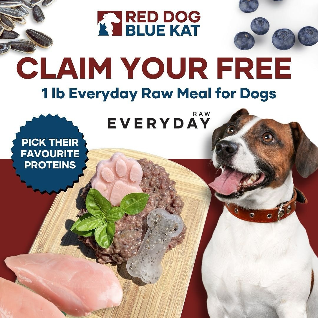 Claim your FREE  1LB full sized meal 🎉 
Made with busy pet parents in mind, RDBK Everyday Raw food for dogs makes raw feeding easy. ✔️ 
This complete and balanced recipe blends a variety of human grade meat, organs, bones, fresh veggies, and natural