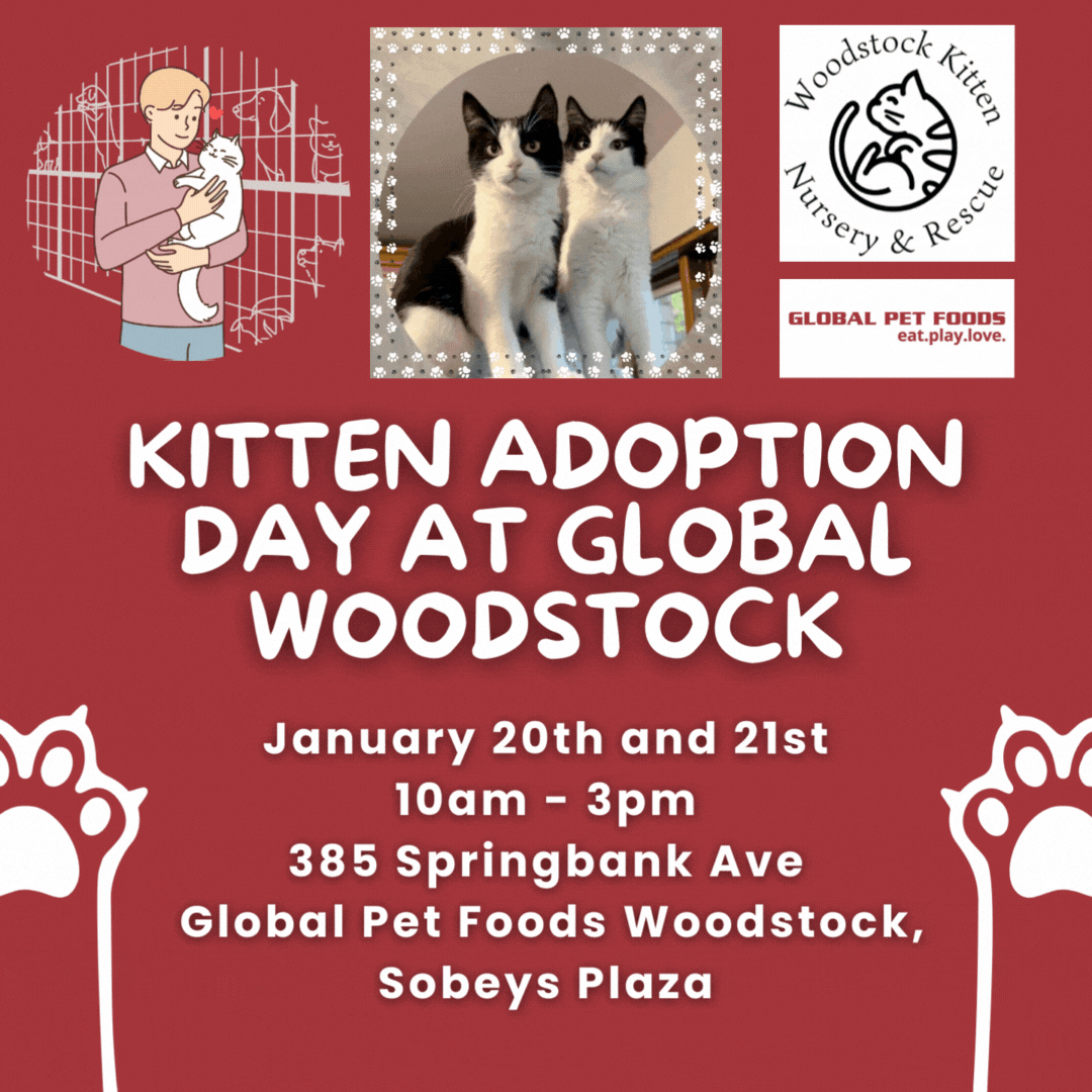 Global Pet Foods Woodstock