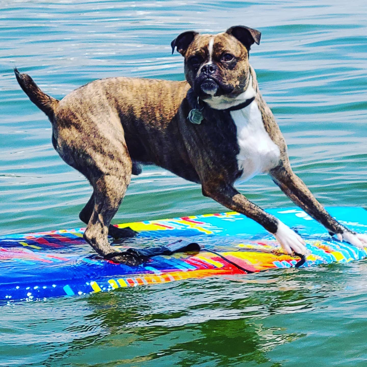Oliver - June 2024